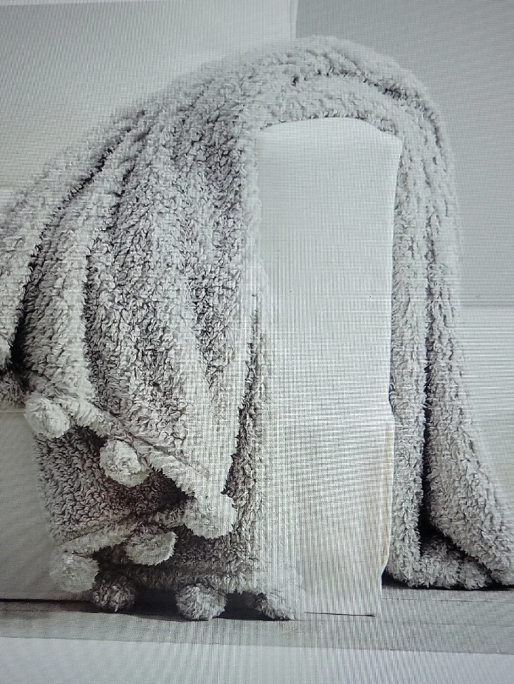Pottery Barn Cozy Pom Pom Sherpa Throw